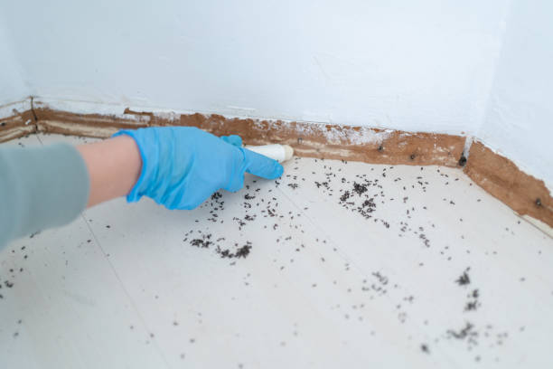 Best Pest Control for Hotels  in Forest City, PA